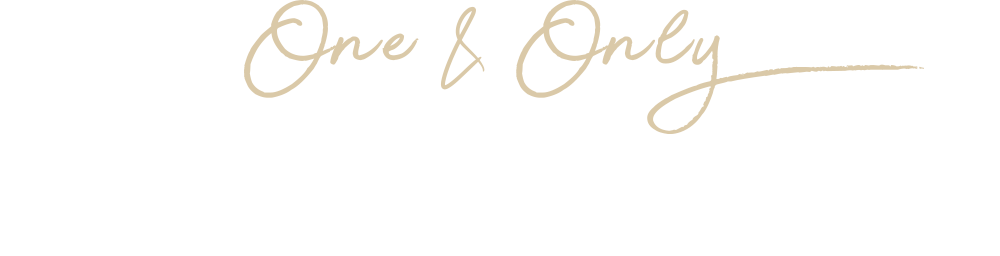 one&only 오직 나만을 위한 1:1 맞춤회화 언제 어디서나 파고다원으로 모든 것을 해결하세요.