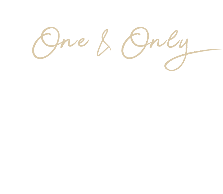 one&only 오직 나만을 위한 1:1 맞춤회화 언제 어디서나 파고다원으로 모든 것을 해결하세요.